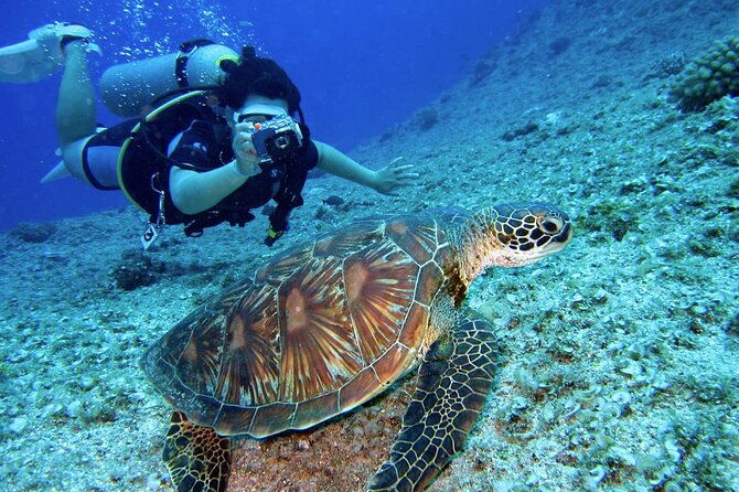 scuba-diving-experience-in-alanya-with-lunch-and-2-dives
