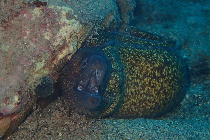 scuba-diving-experience-in-taormina-2