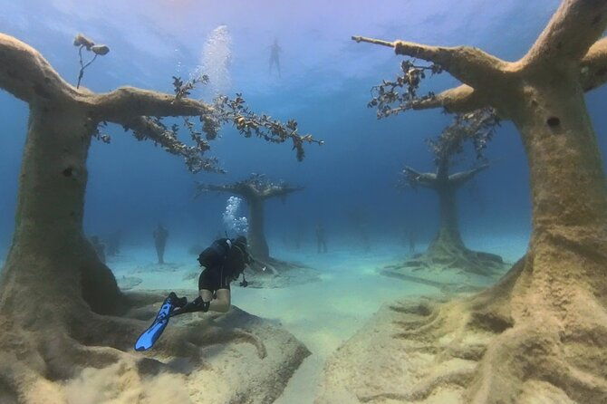 scuba-diving-experience-musan-dive-free-edited-video-2xdives