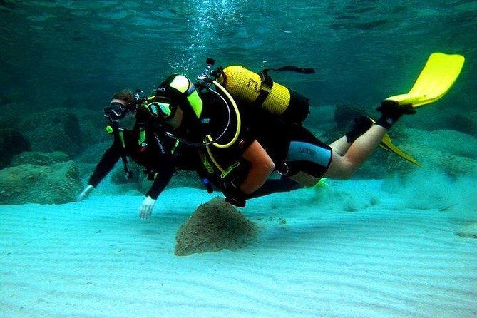 scuba-diving-in-rosario-islands