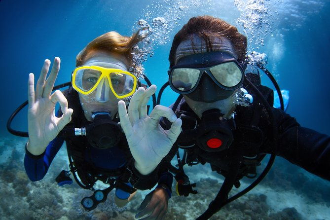 scuba-diving-tour-in-bodrum-2