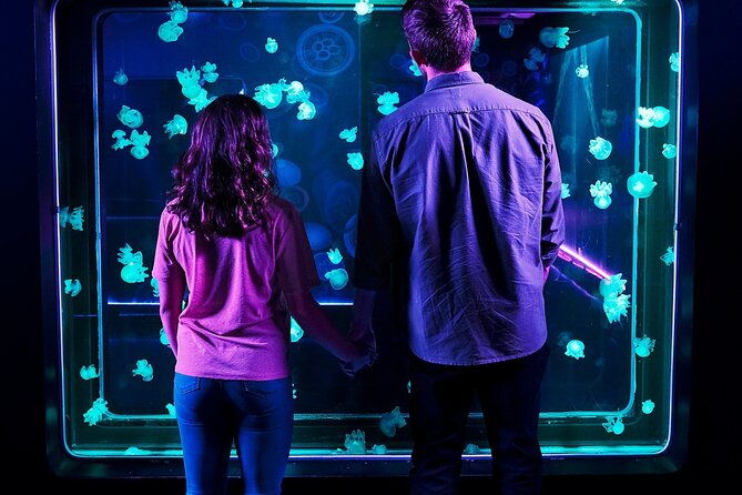 sea-life-aquarium-grapevine-admission-ticket-2