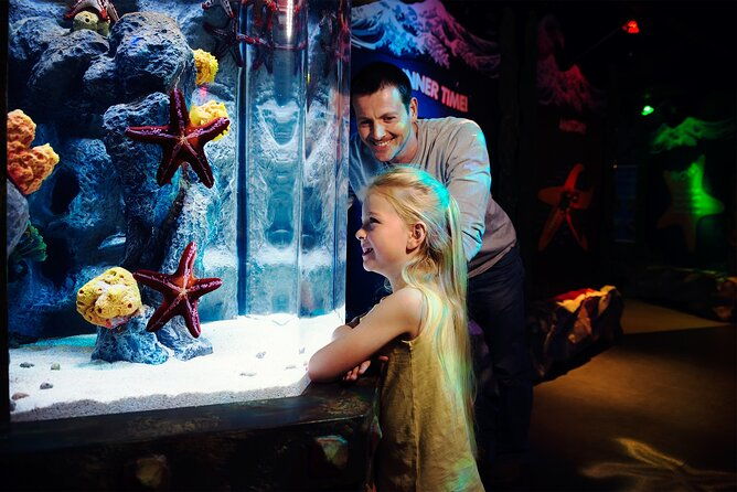 sea-life-charlotte-concord-aquarium-admission-ticket