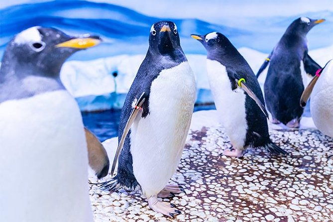 sea-life-london-aquarium-admission-ticket