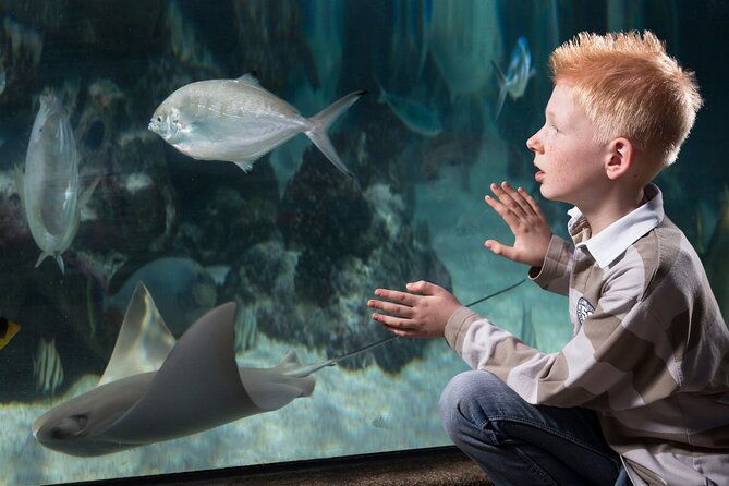 sea-life-michigan-aquarium-admission-ticket-2