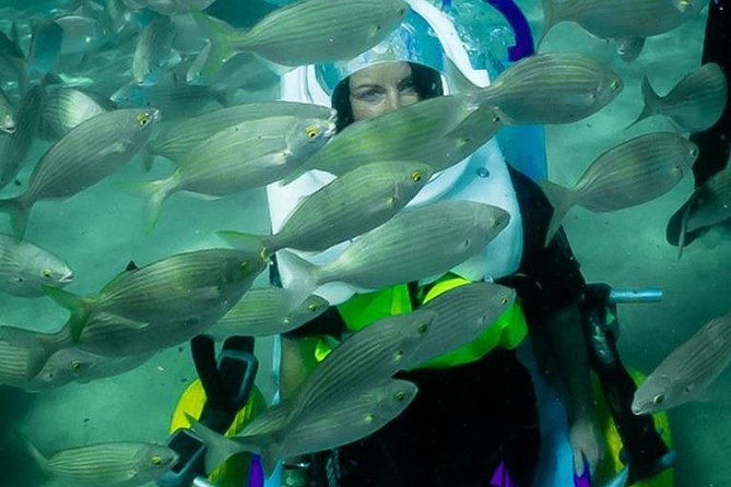 sea-trek-and-diving-for-handicaped-people