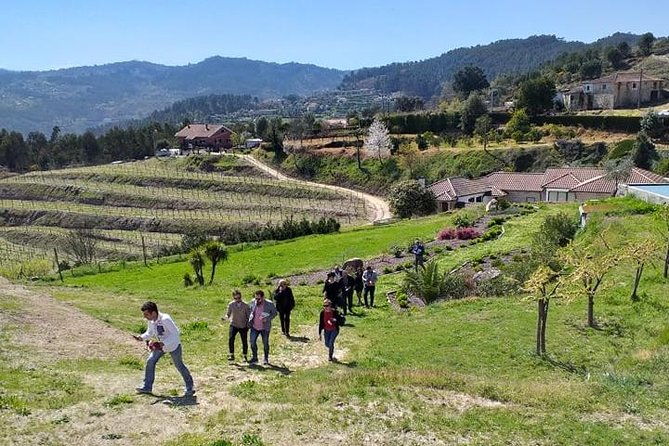 selection-tasting-quinta-de-santa-cristina-vinho-verde