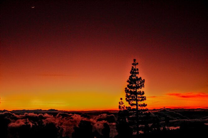 self-driving-sunset-tour-with-dinner-and-stargazing-in-tenerife