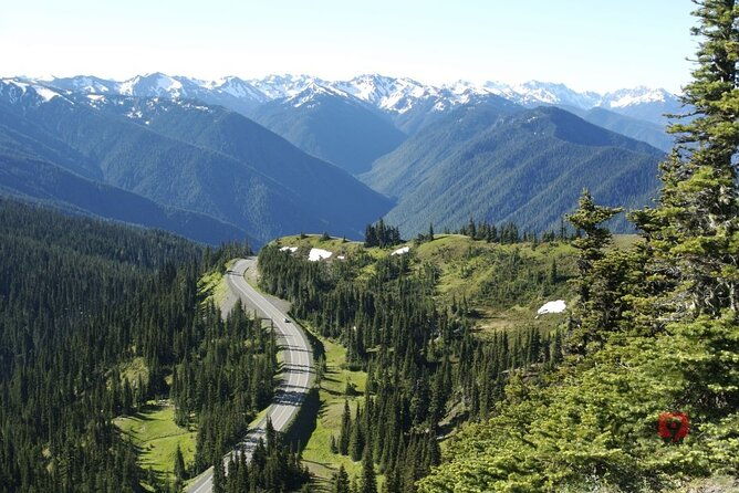 self-guided-audio-driving-tour-in-olympic-national-park