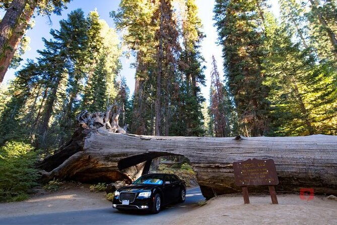 self-guided-audio-driving-tour-in-sequoia-and-kings-canyon