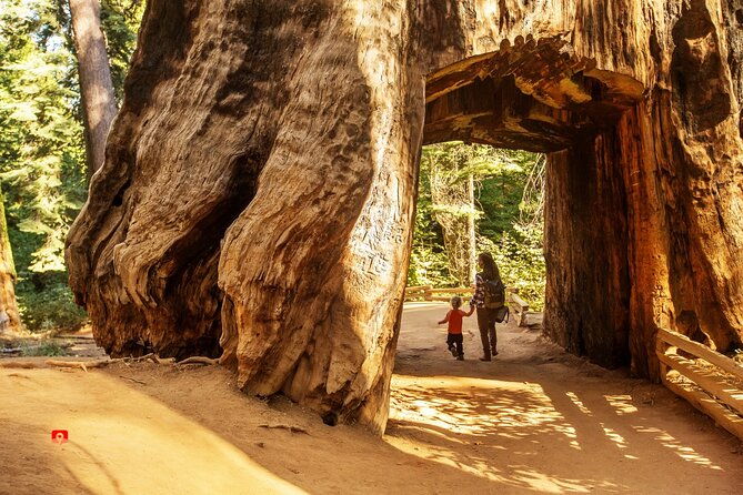 self-guided-audio-driving-tour-in-yosemite