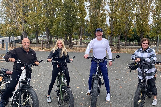 self-guided-full-day-e-bike-rental-with-picnic-lunch