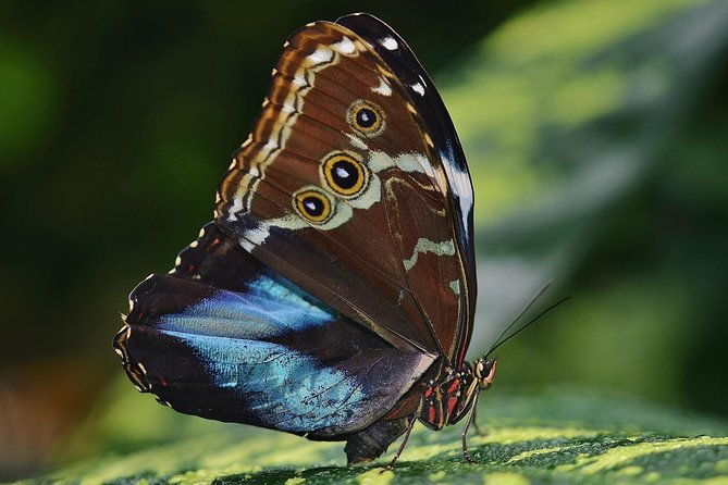 selvatura-park-eco-adventure-tour-of-monteverde