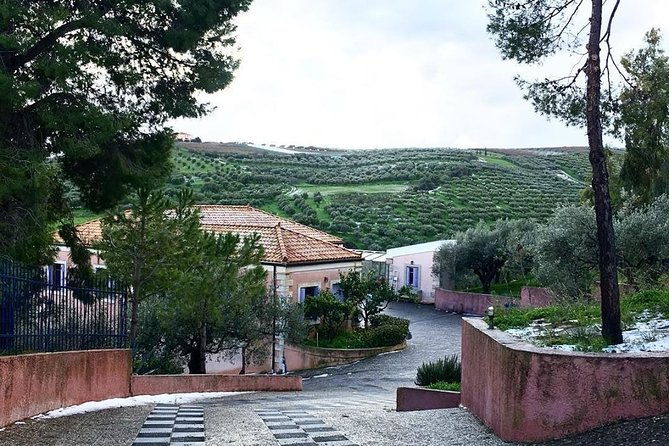 semi-private-wine-and-olive-oil-tour-transfer-lunch-incl