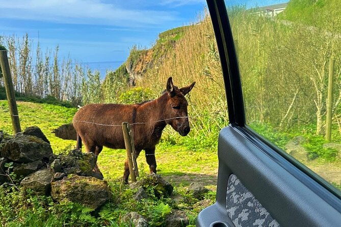 sete-cidades-nature-lovers-private-jeep-tour-with-local-guide