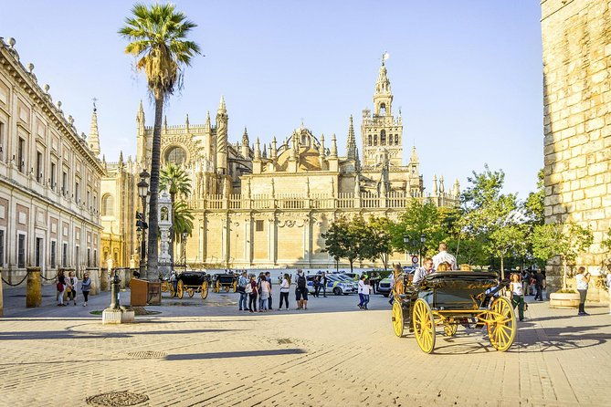 seville-tour-with-alcazar-cathedral-and-giralda-from-granada