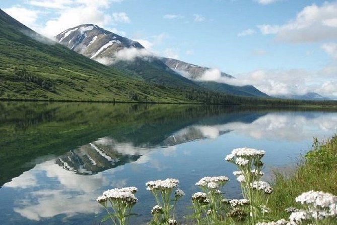 seward-to-anchorage-cruise-transfer-and-private-tour-2