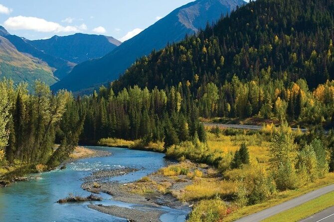 seward-to-anchorage-wildlife-adventure