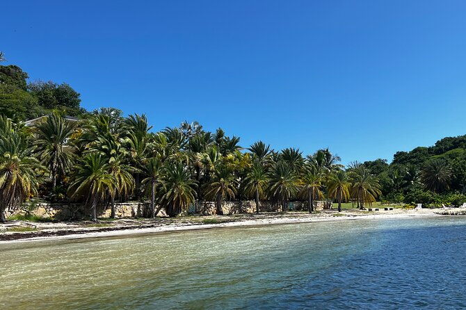 share-boat-trip-discover-green-island-and-sea-turtles-half-day