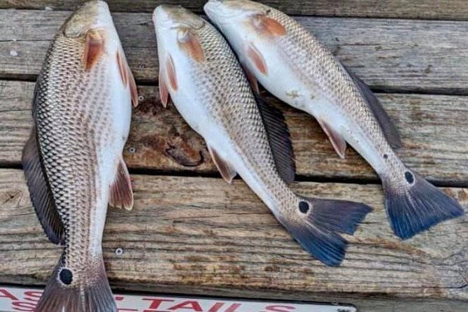 shared-deep-sea-fishing-trip