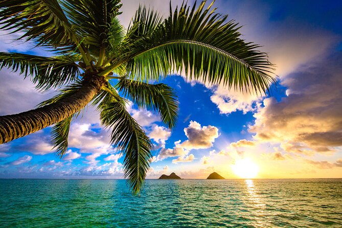shared-departure-transfer-hotel-to-maui-kahului-airport