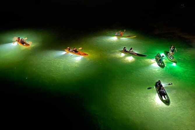 sharkeys-glass-bottom-fish-feeding-led-night-tour-in-clearwater