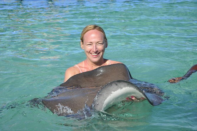 sharks-stingrays-encounter-and-small-boat-ride-from-punta-cana