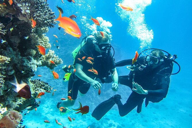 side-scuba-diving-in-the-fascinating-underwater-museum