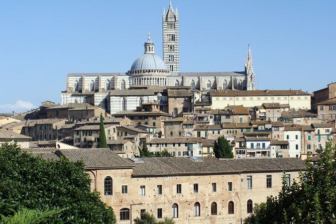 siena-private-guided-tour-for-families