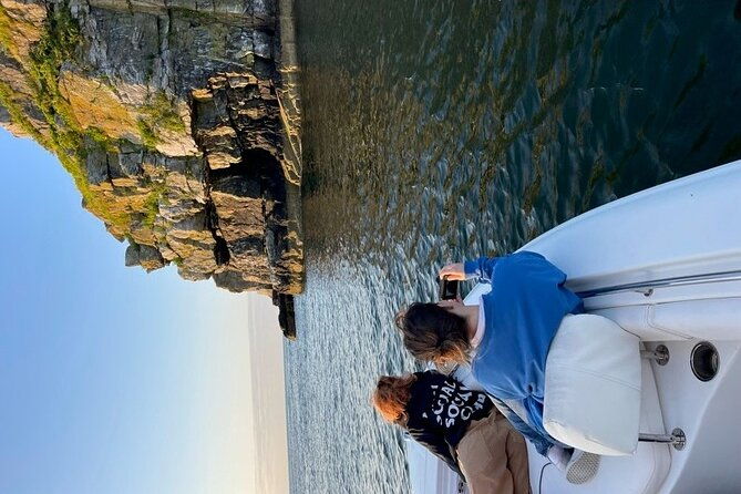 sightseeing-boat-tour-in-portlands-casco-bay-birds-eye-maine
