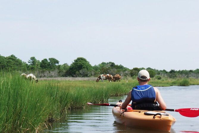 single-sit-on-top-kayak-rental-at-assateague-island-md