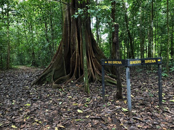 sirena-station-corcovado-national-park-day-trip-from-quepos