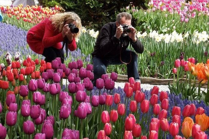 skagit-valley-tulip-festival-day-trip-from-seattle
