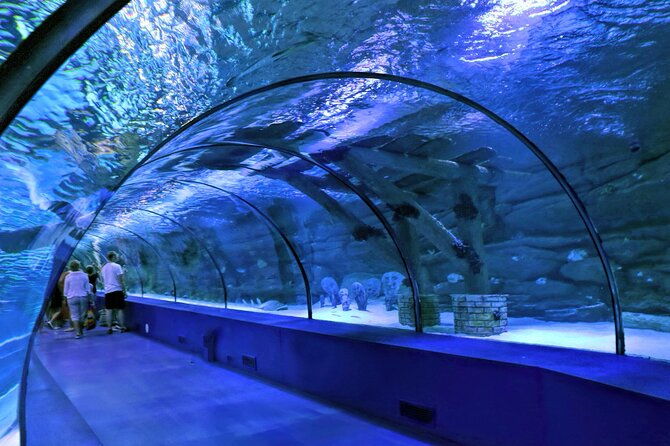 skip-the-line-antalya-aquarium-ticket
