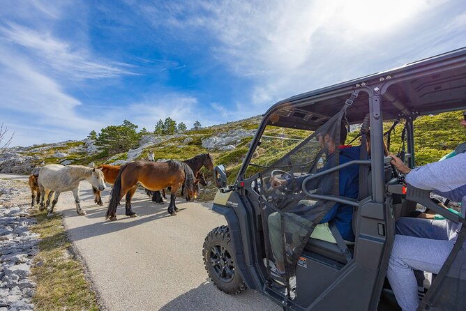 skywalk-biokovo-tour-in-buggys
