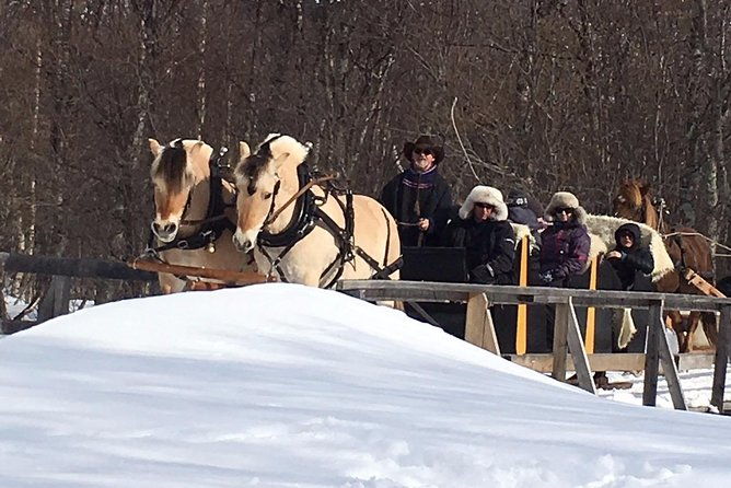 sleigh-ride-w-tapas-meal-experience-arctic-farm-life