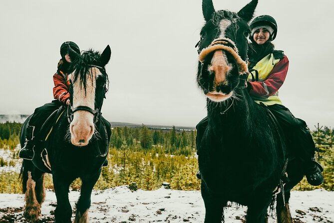 small-group-arctic-circle-horse-riding-from-rovaniemi