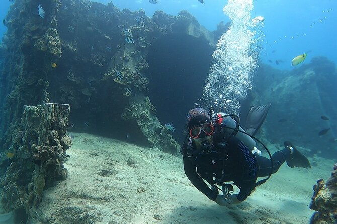 small-group-discover-scuba-diving-from-electric-beach-with-photos