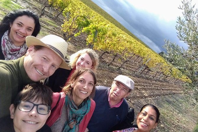 small-group-half-day-chateaux-of-montpellier-wine-tour-2