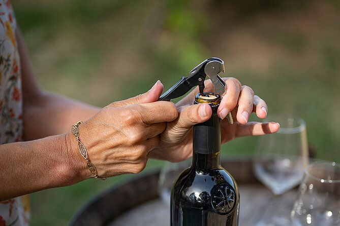small-group-half-day-languedoc-wine-and-olive-tour-from-montpellier