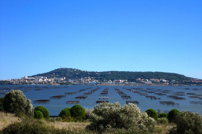 small-group-half-day-languedoc-wine-and-oyster-tour-from-montpellier