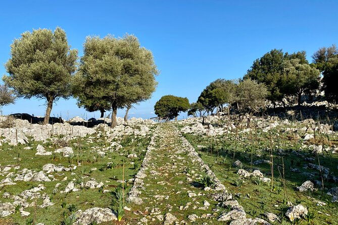small-group-hiking-from-salakos-to-profitis-ilias
