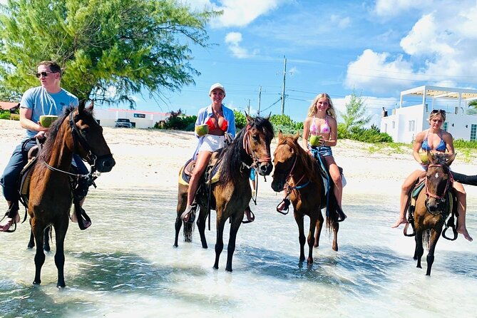 small-group-horseback-riding-adventure-in-caicos-islands