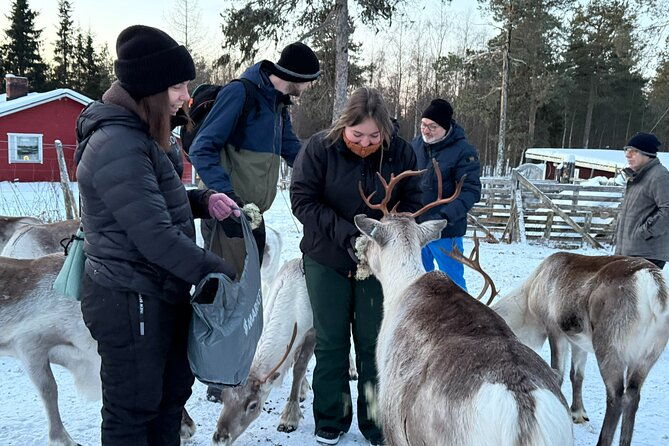 small-group-ice-fishing-wilderness-lunch-and-reindeer-farm-visit