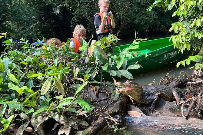 small-group-tortuguero-national-park-canoe-tour