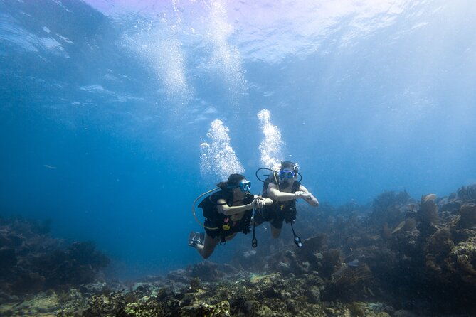 small-guided-shallow-2-tank-dive-experience-in-key-largo-all-gear-included