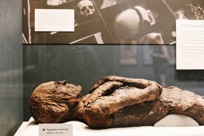 smithsonian-natural-history-american-history-semi-private-tour