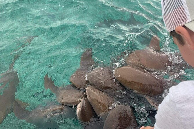 snorkel-holchan-shark-ray-alley-and-caye-caulker-manatee-spotting