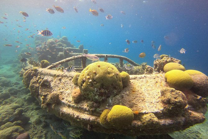 snorkel-tour-in-curacao