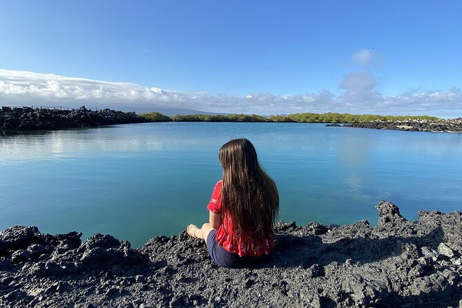 snorkeling-and-fauna-observation-at-las-tintoreras-islet